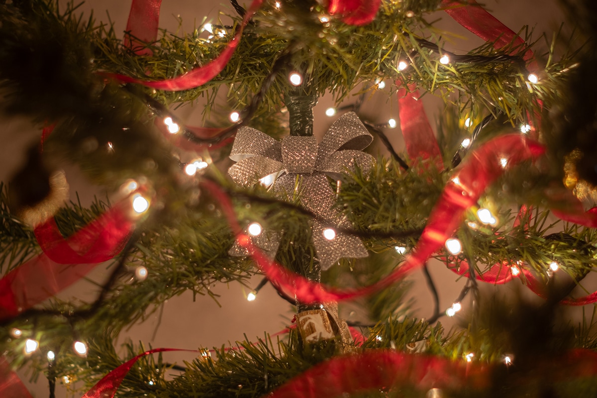 Lighting of the northport village christmas tree blog